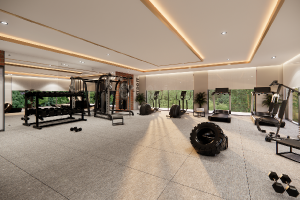 Gym Area